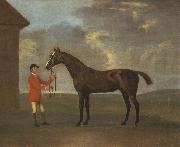 Francis Sartorius The Racehorse 'Horizon' Held by a Groom by a Building china oil painting artist